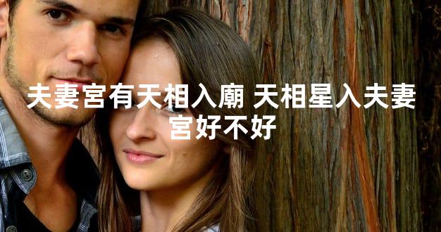 夫妻宮有天相入廟 天相星入夫妻宮好不好